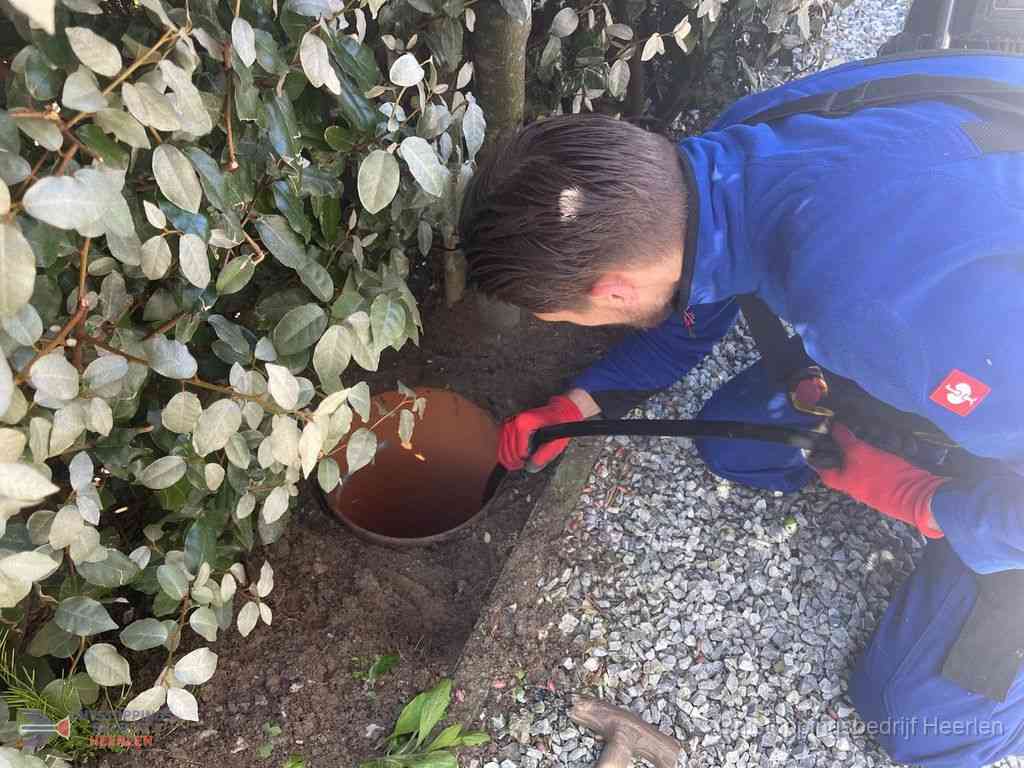 Rioolvliegjes Heerlen Rioolvliegjes Heerlen